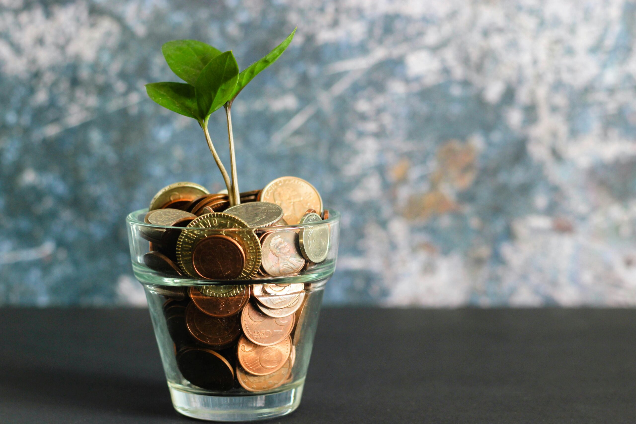 What is FIRE in India financial independence guide